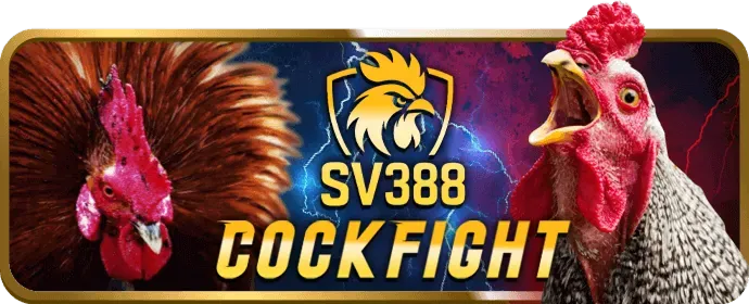 Giải thích Cookie