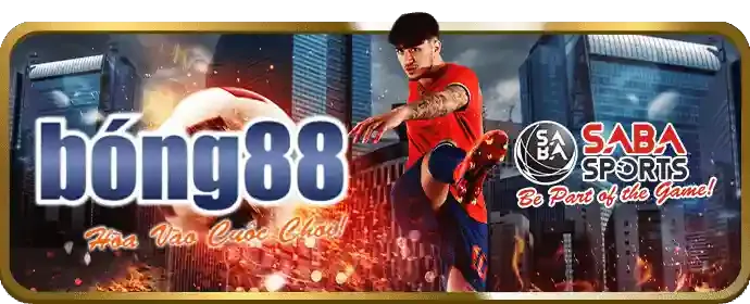 Khuyến mãi và ưu đãi 88m